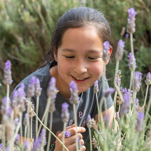 GREENGATES_Mexico_February_2023-209