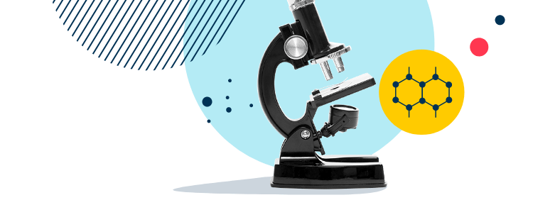 Greengates School Mexico | Nord Anglia - Image-50-pattern