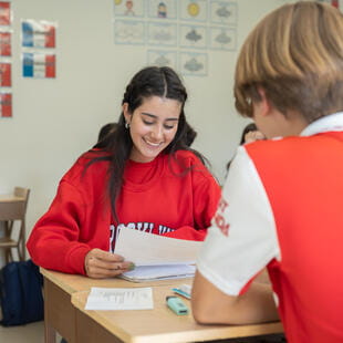 Greengates School Mexico | Nord Anglia - Feature Cards Pattern