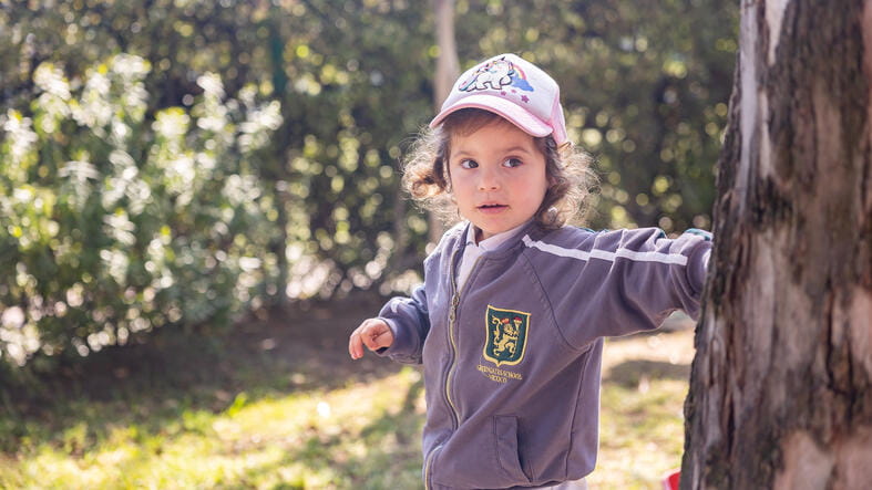 Greengates School Mexico | Nord Anglia - Feature Cards Pattern