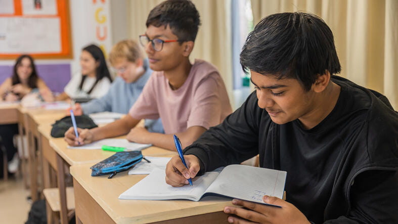 Greengates School Mexico | Nord Anglia - Feature Cards Pattern